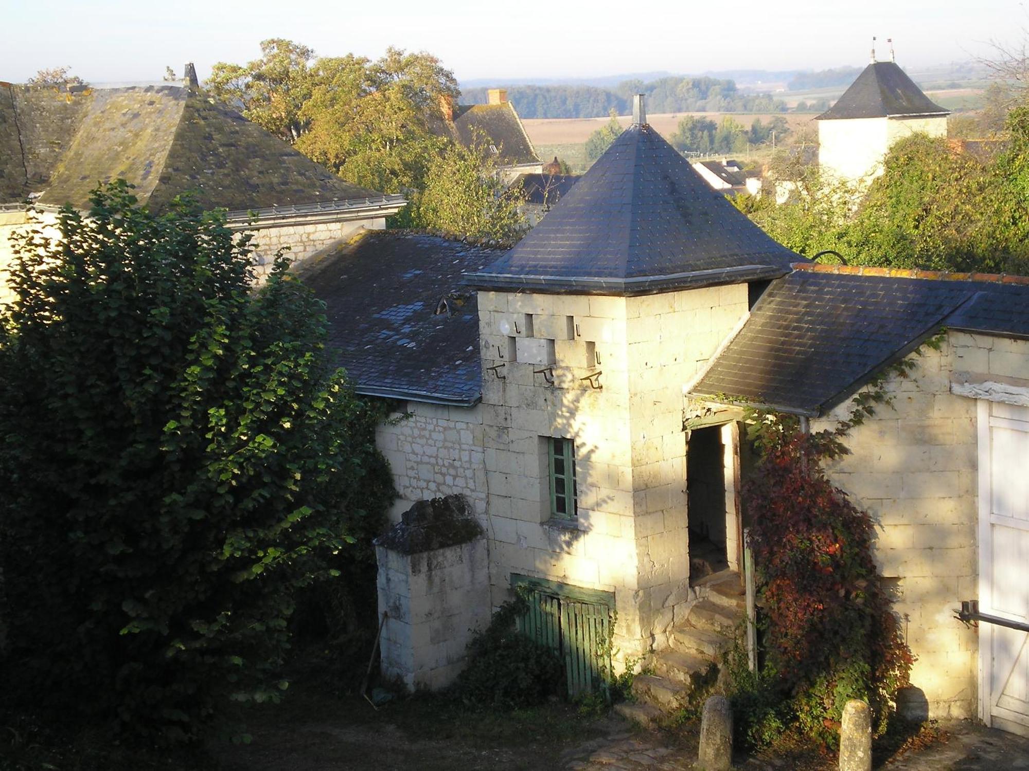 Manoir De Boisairault Bed and Breakfast Le Coudray-Macouard Buitenkant foto