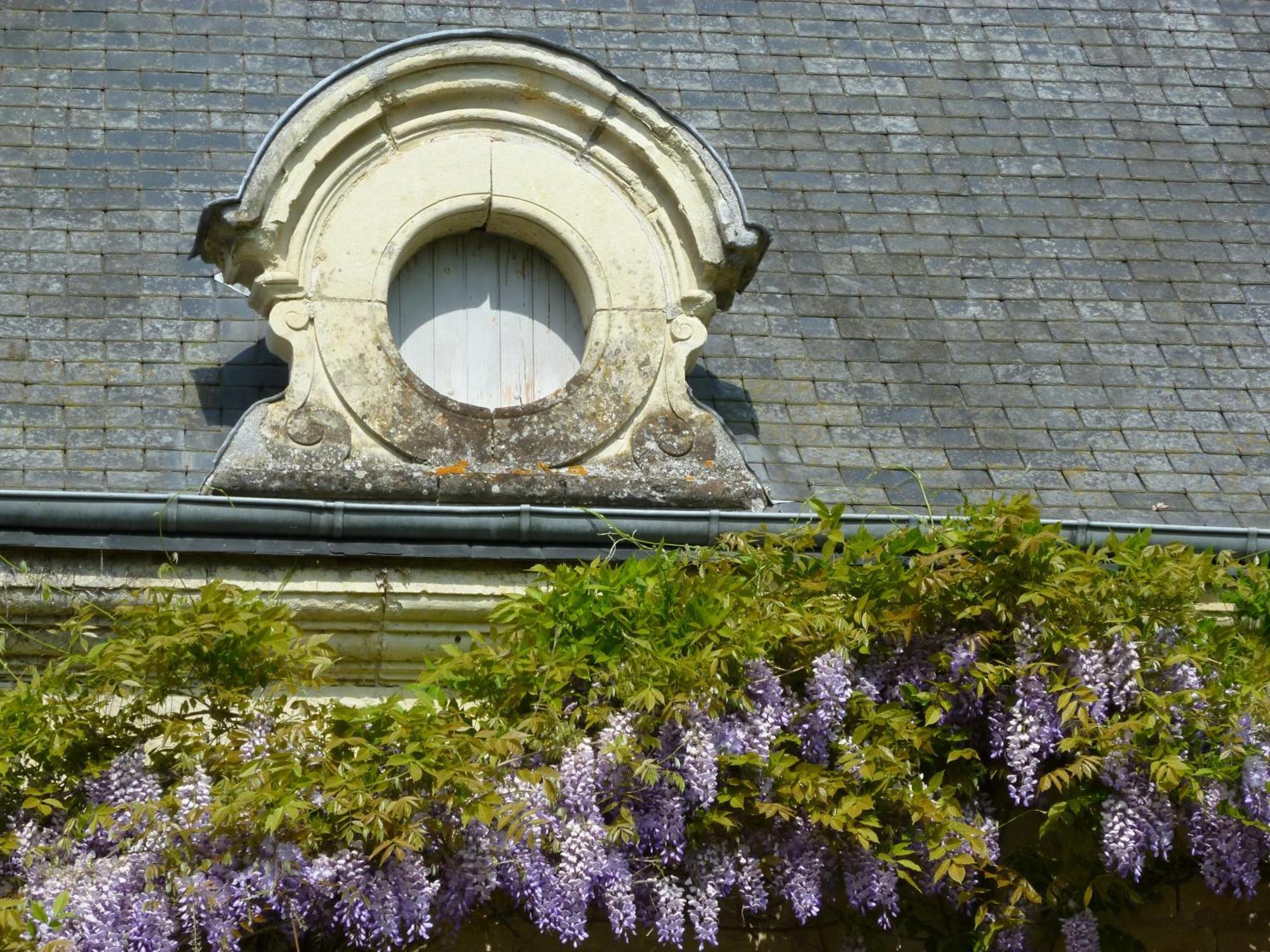 Manoir De Boisairault Bed and Breakfast Le Coudray-Macouard Buitenkant foto