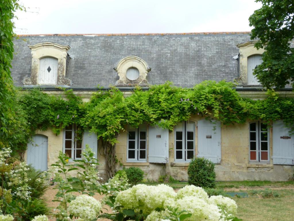 Manoir De Boisairault Bed and Breakfast Le Coudray-Macouard Buitenkant foto