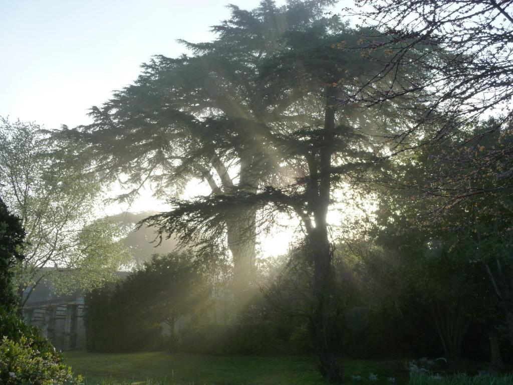 Manoir De Boisairault Bed and Breakfast Le Coudray-Macouard Buitenkant foto
