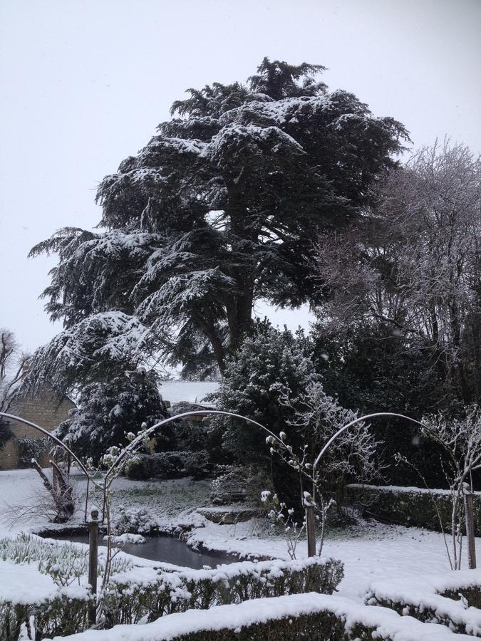 Manoir De Boisairault Bed and Breakfast Le Coudray-Macouard Buitenkant foto