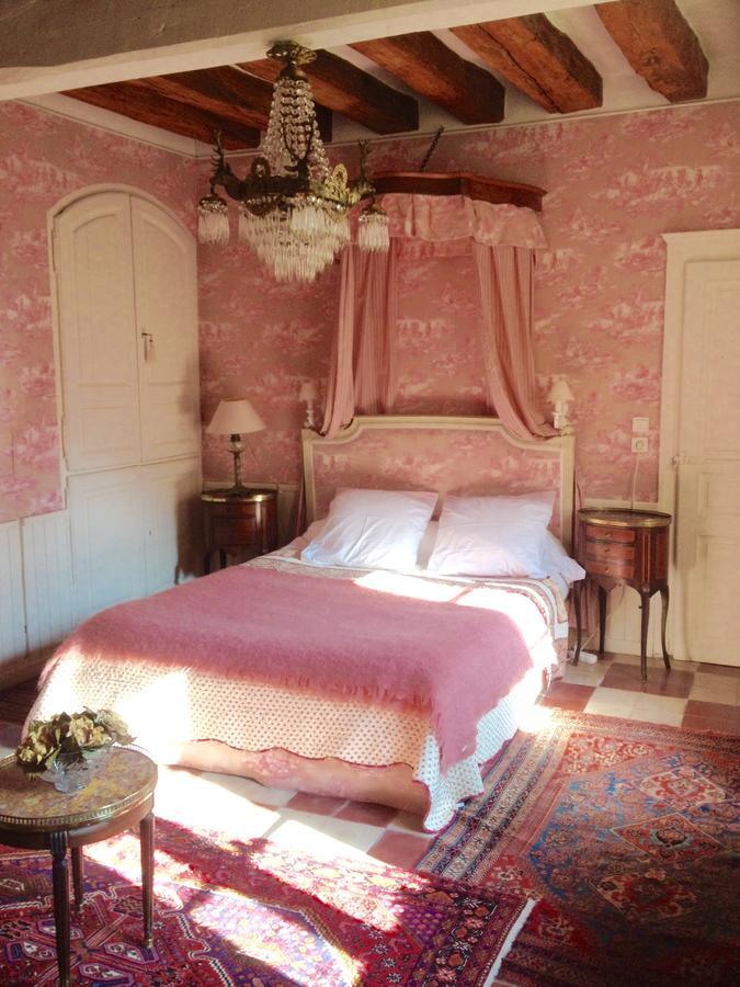 Manoir De Boisairault Bed and Breakfast Le Coudray-Macouard Buitenkant foto
